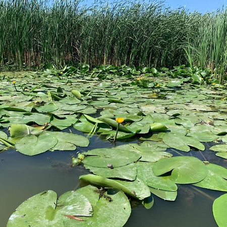 Gorgova Delta Village Exteriér fotografie