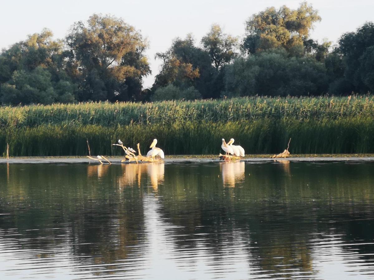 Gorgova Delta Village Exteriér fotografie