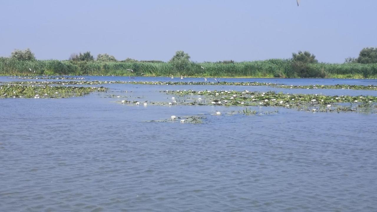 Gorgova Delta Village Exteriér fotografie